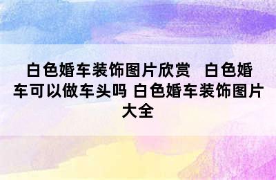 白色婚车装饰图片欣赏   白色婚车可以做车头吗 白色婚车装饰图片大全